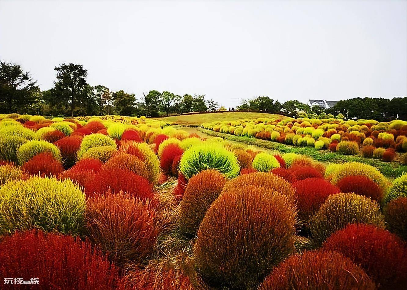 上海金山海边沙滩旅游景区(上海金山好风景游玩攻略)-图片6